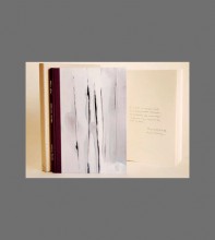 Feige Prosa 583_vz