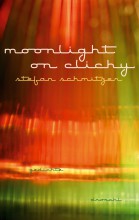 moonlight on clichy