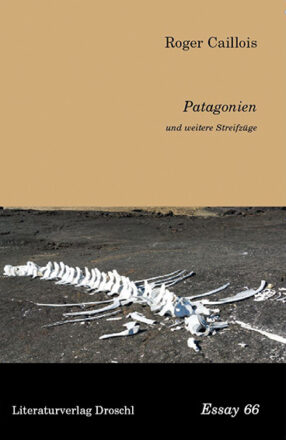 Essay-Caillois-Patagonien